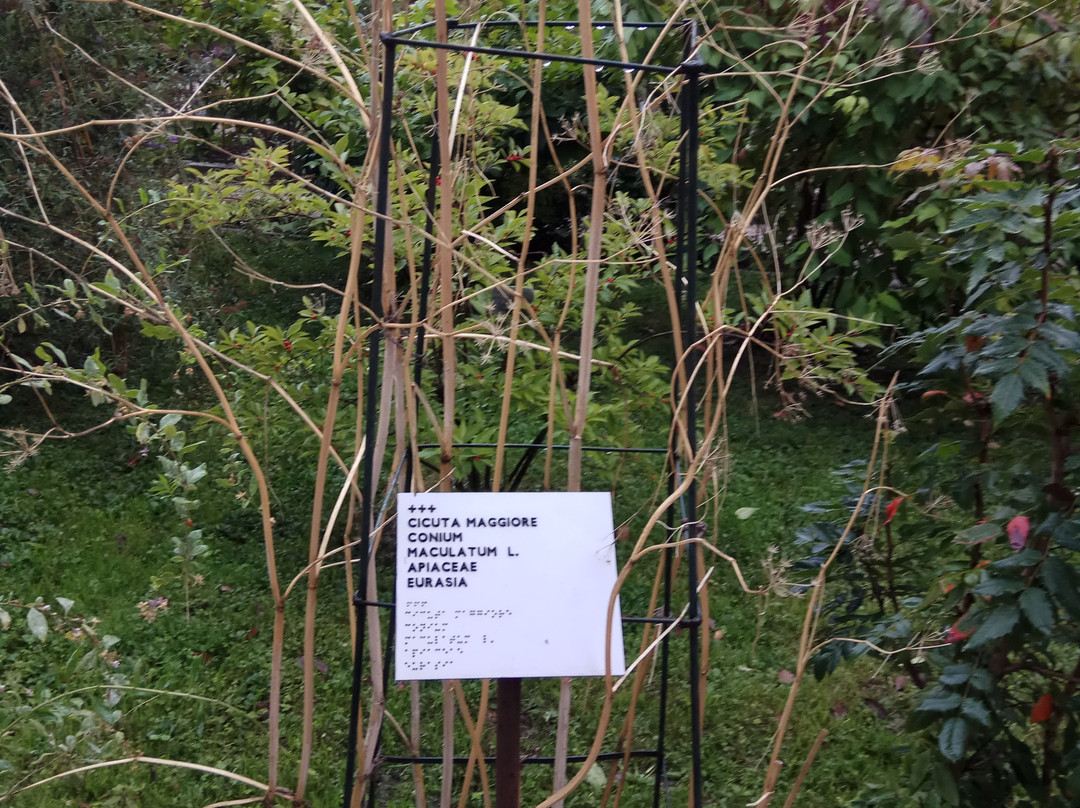 Orto Botanico 1545-帕多瓦必去景点