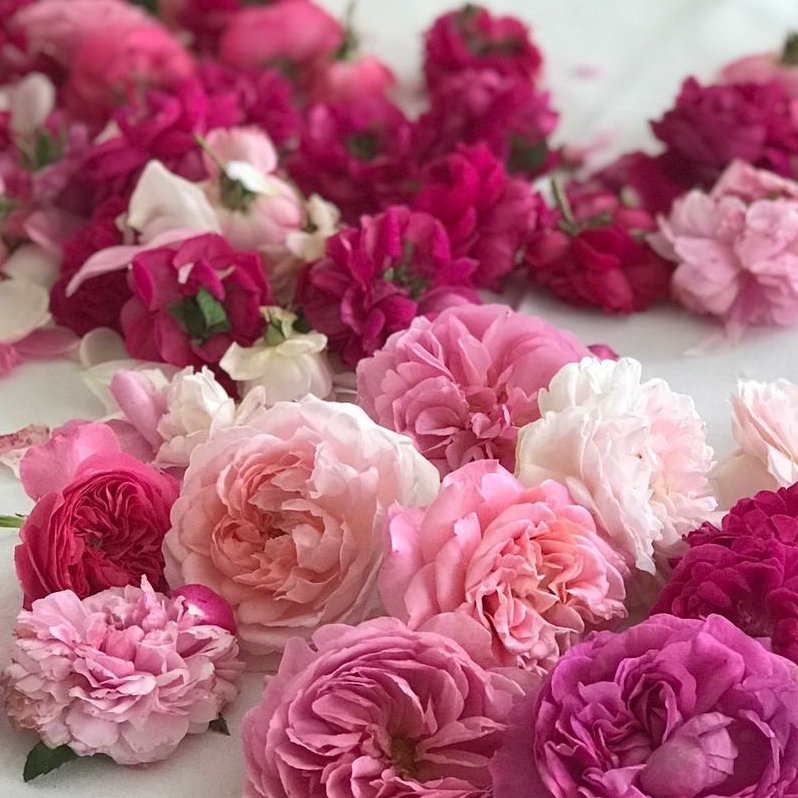 Agritur Maso Flonkeri-portrait