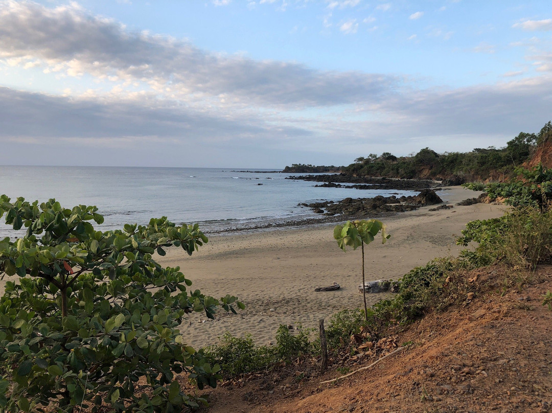 Playa Los Destiladeros景点图片