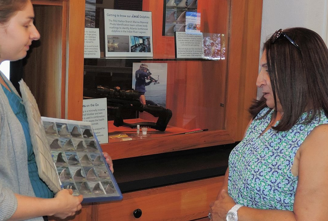 FAU Harbor Branch Oceanographic Institute-匹尔斯堡必去景点