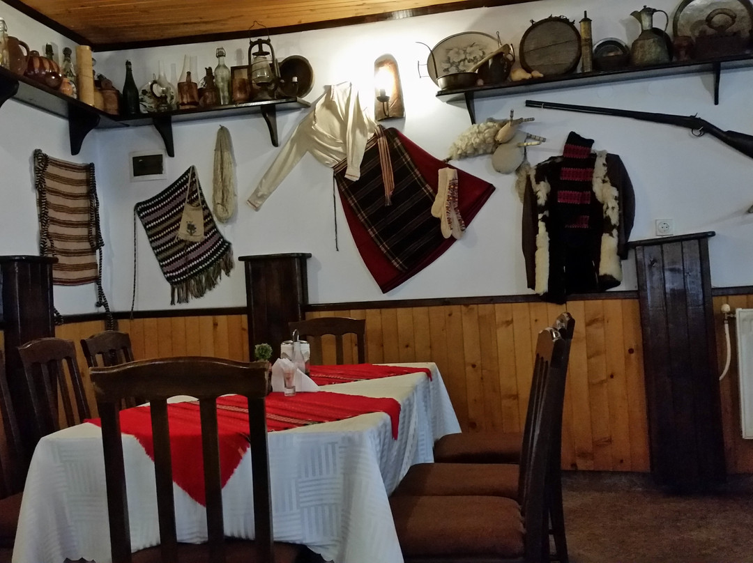 Papanovata House主图