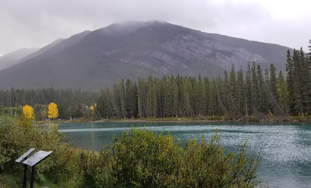 Central Park-班夫必去景点