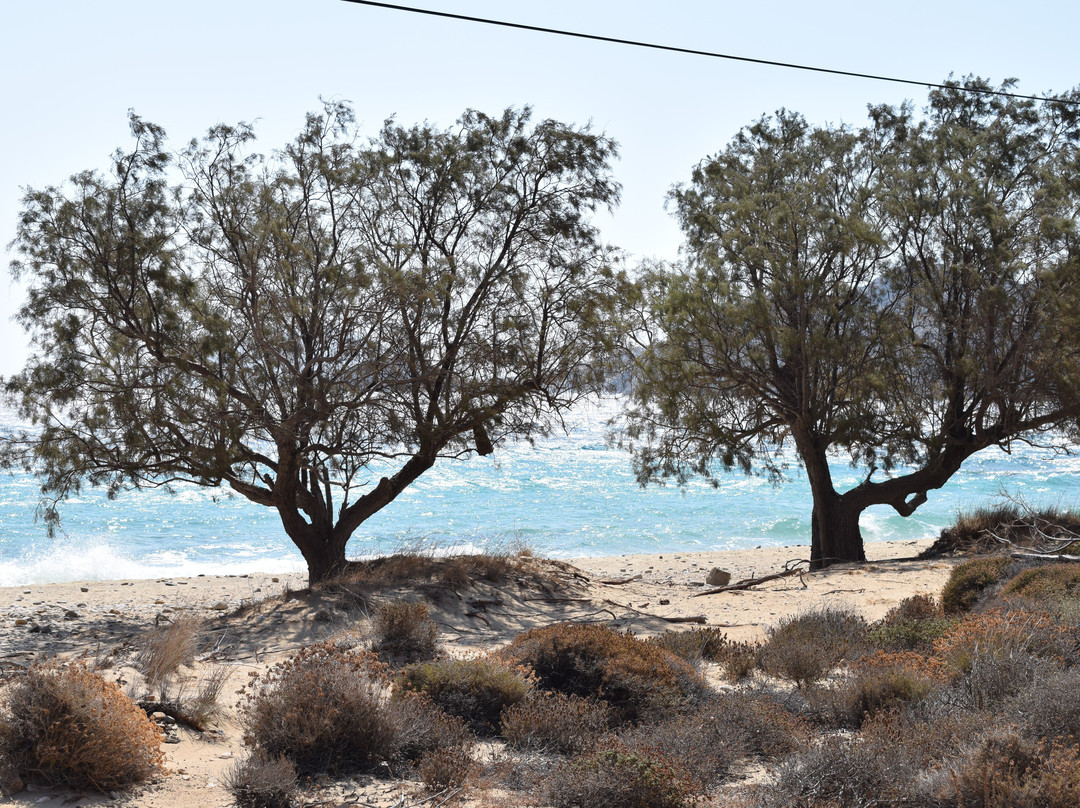 Agios Ioannis Beach-Serifos必去景点