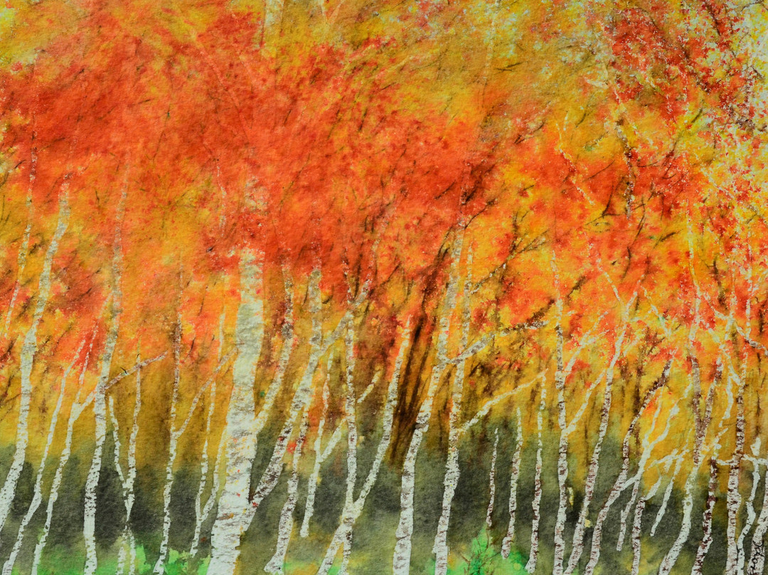 Far North Gifts and Gallery-Wick必去景点