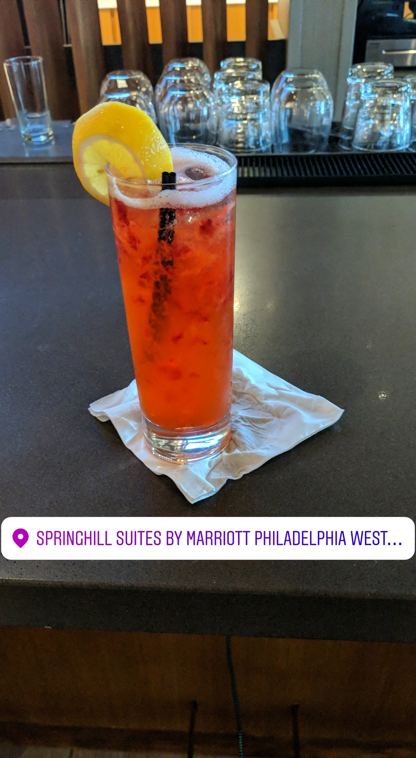 Springhill Suites by Marriott Philadelphia West Chester/Exton-portrait