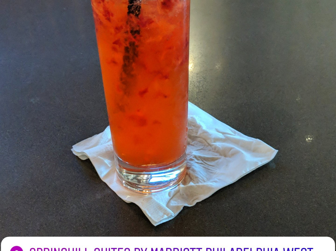 Springhill Suites by Marriott Philadelphia West Chester/Exton主图
