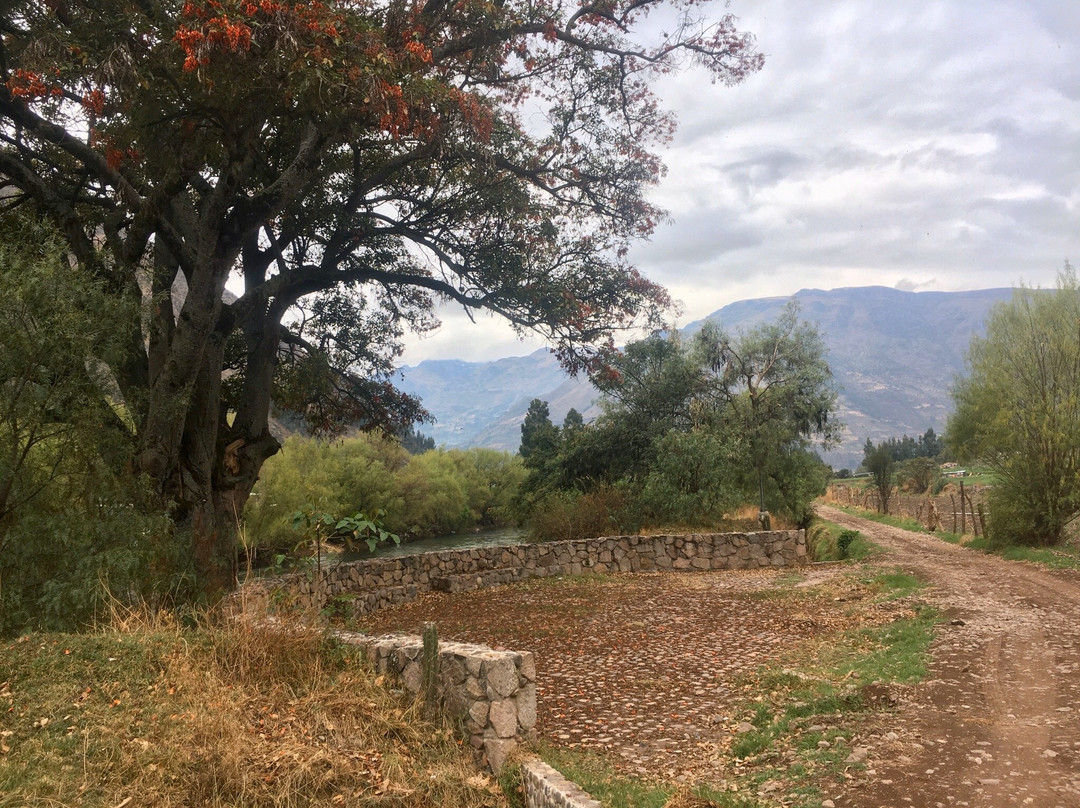 Museo Inkariy-Calca必去景点