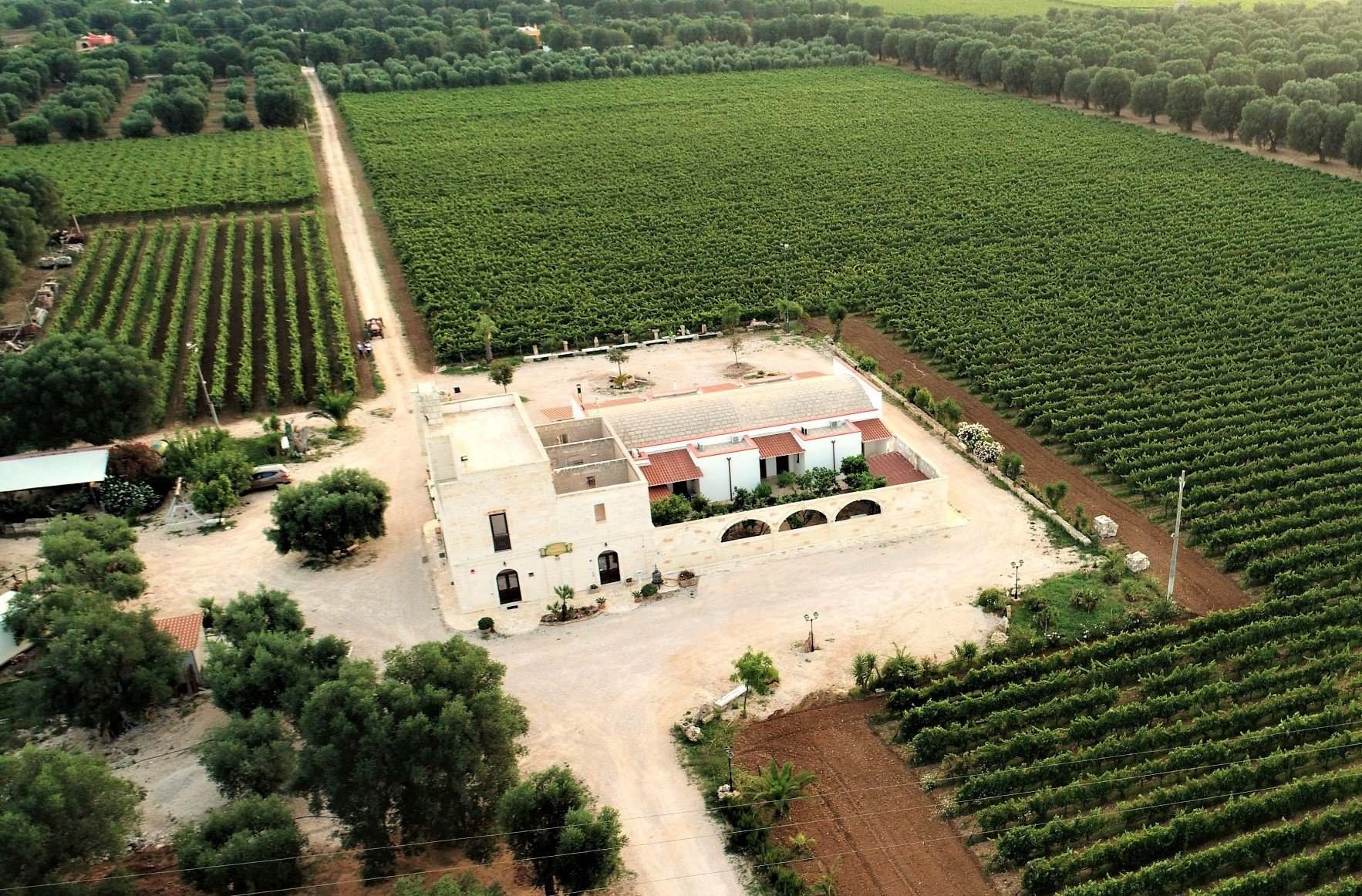 Monteciminiello-官方