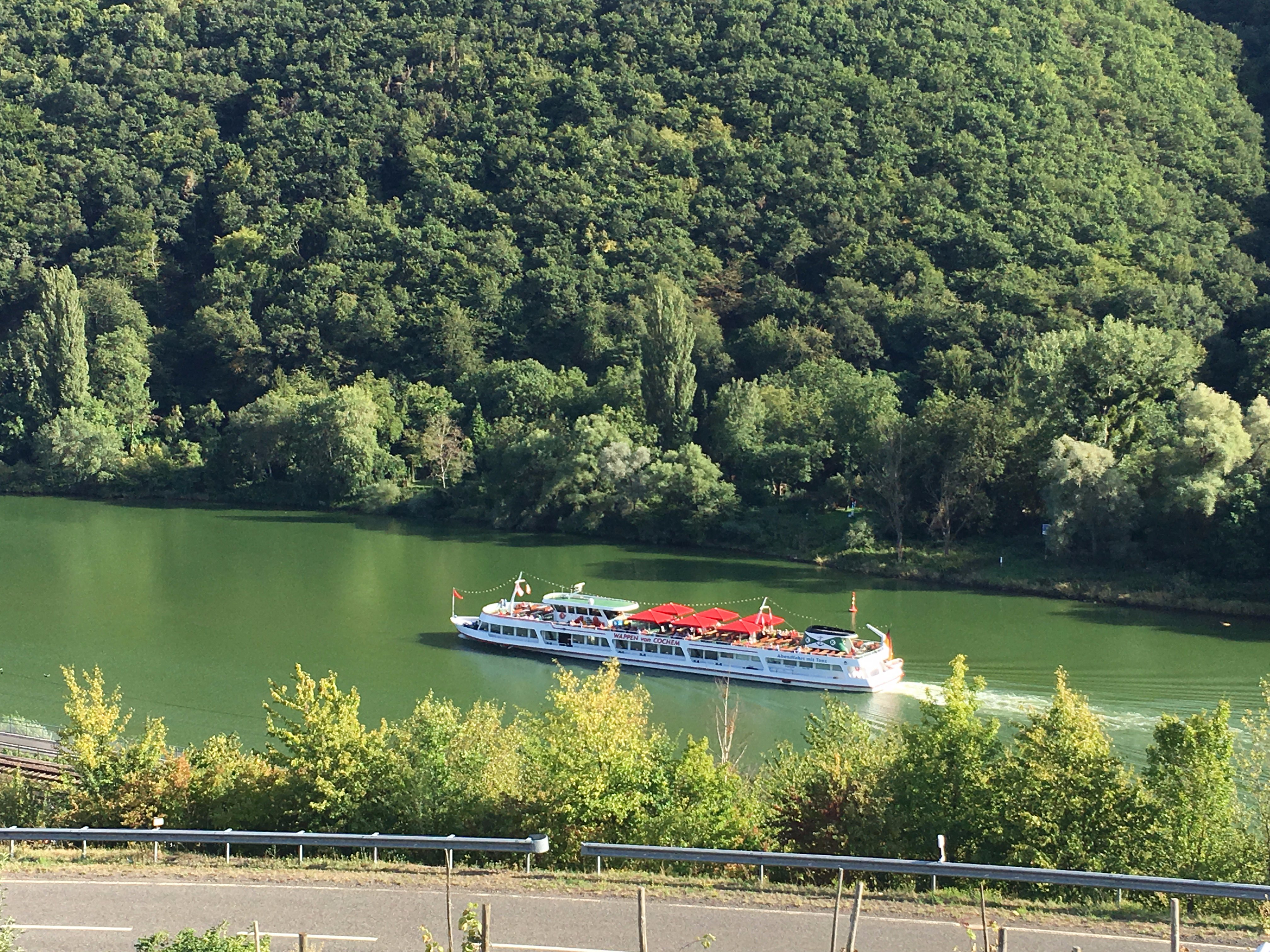 Hotel Weingut Kapellenhof-酒店景观