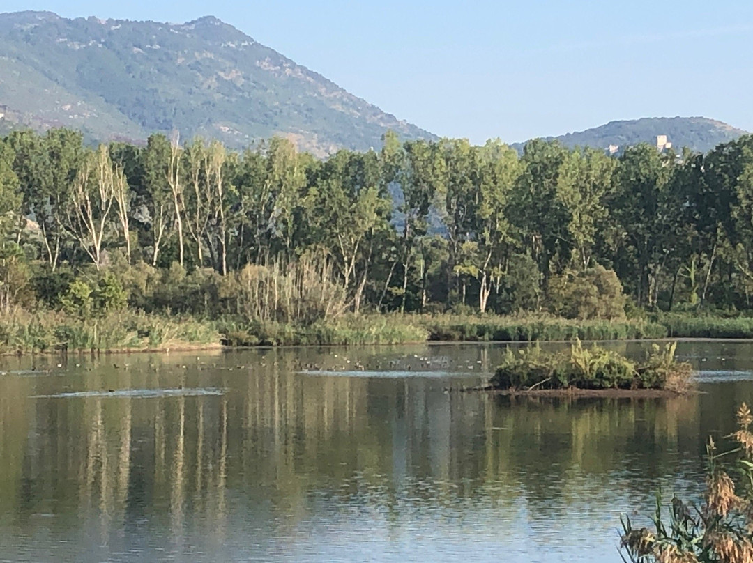 Parco Pantanello景点图片