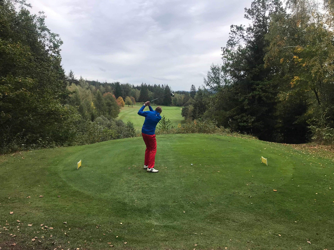 Golfpark Oberzwieselau景点图片