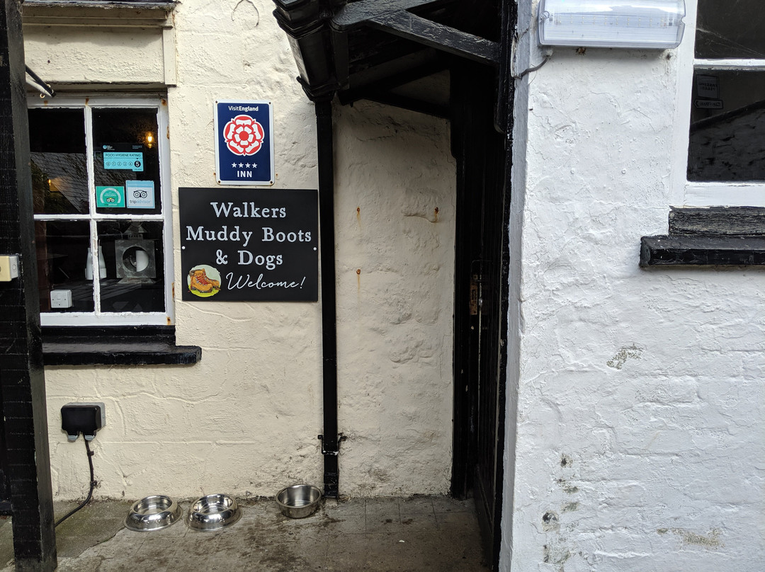 Cadgwith Cove Inn主图