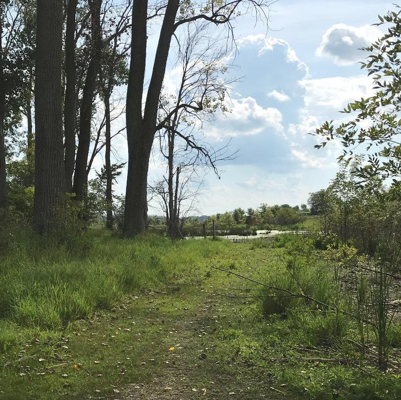 Eagle Marsh Nature Preserve景点图片