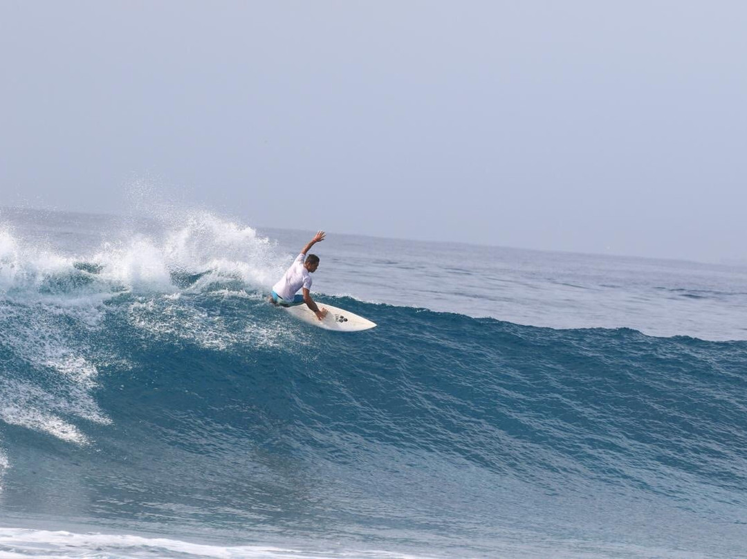 El Gato Rojas Surf School景点图片