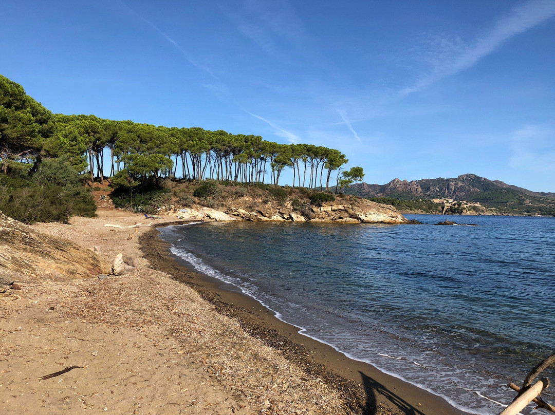 Spiaggia di Istia景点图片