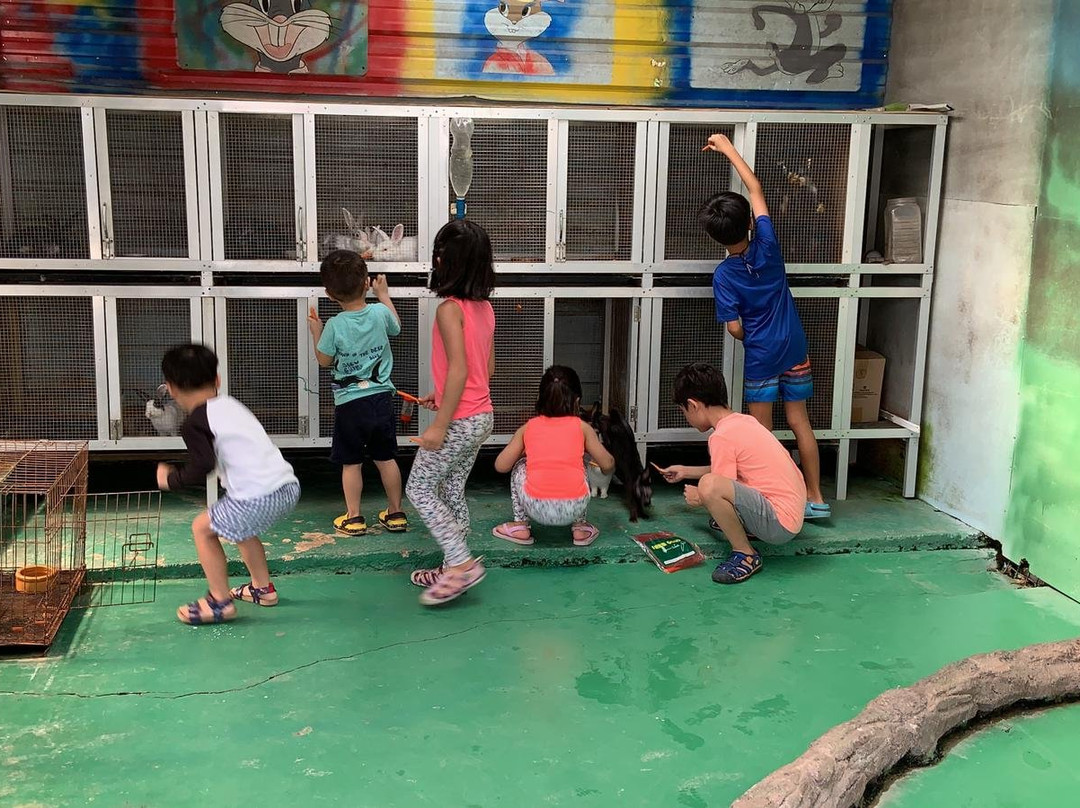 Sinar Eco Resort主图