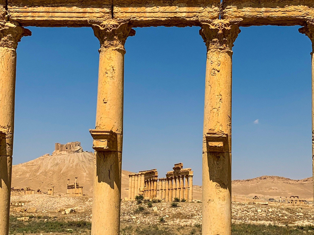 Roman Theatre of Palmyra景点图片