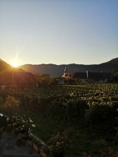 Hotel Garni Weinberghof & Weingut Lagler-酒店景观