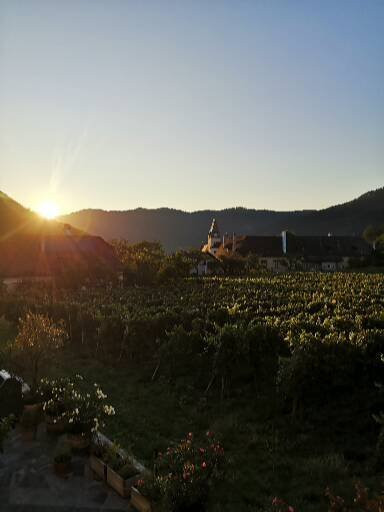 Hotel Garni Weinberghof & Weingut Lagler主图
