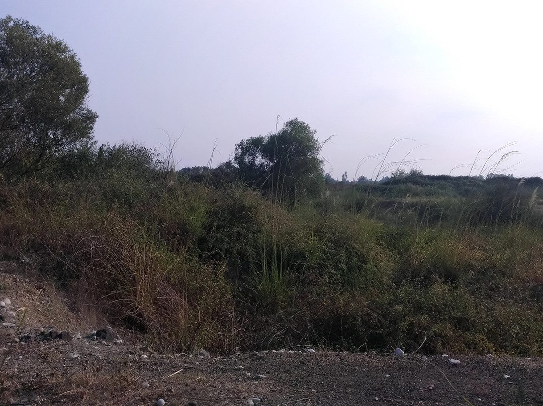 Kirmitli Bird Sanctuary-Osmaniye必去景点