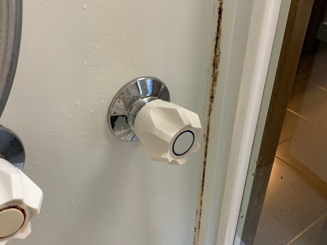 Bendigo Homestead Motor Inn & Apartments主图