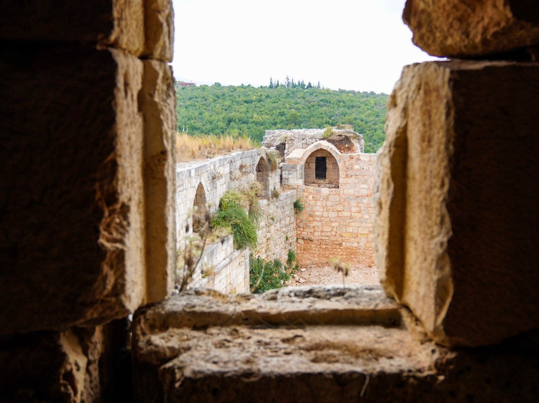 Saladin (Selahedîn) Citadel景点图片