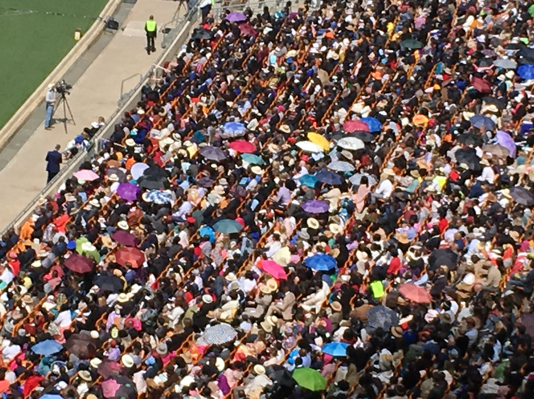 Road Lodge Johannesburg International Airport主图