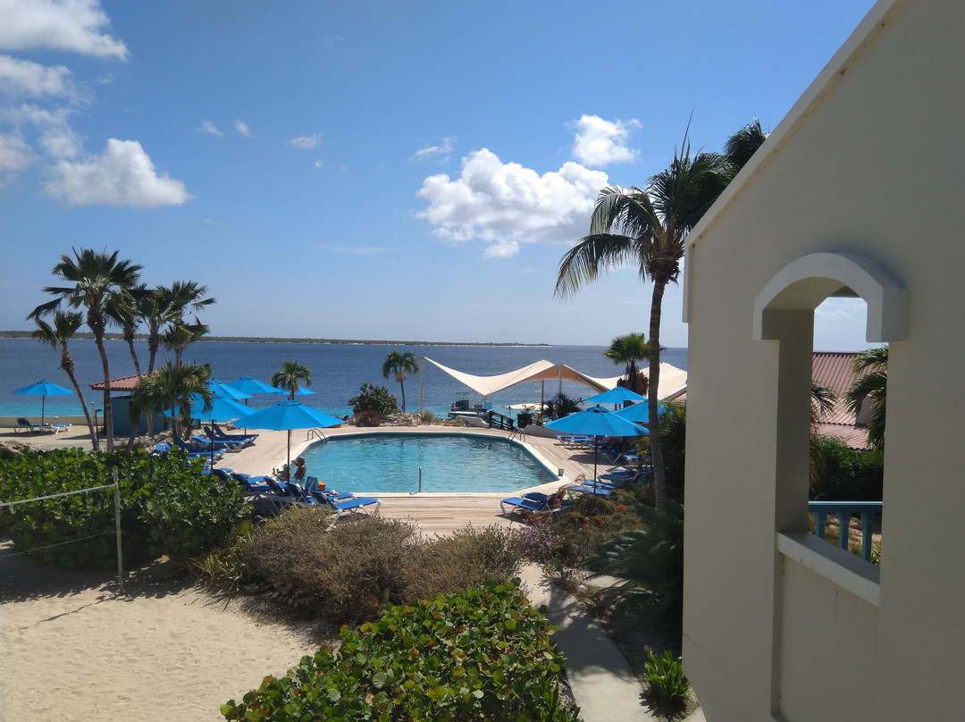 Captain Don's Habitat主图