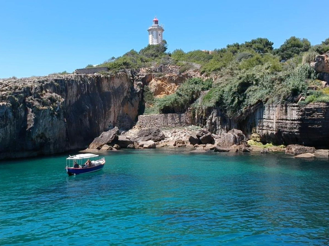 Flamingo Boat Tours Cascais景点图片