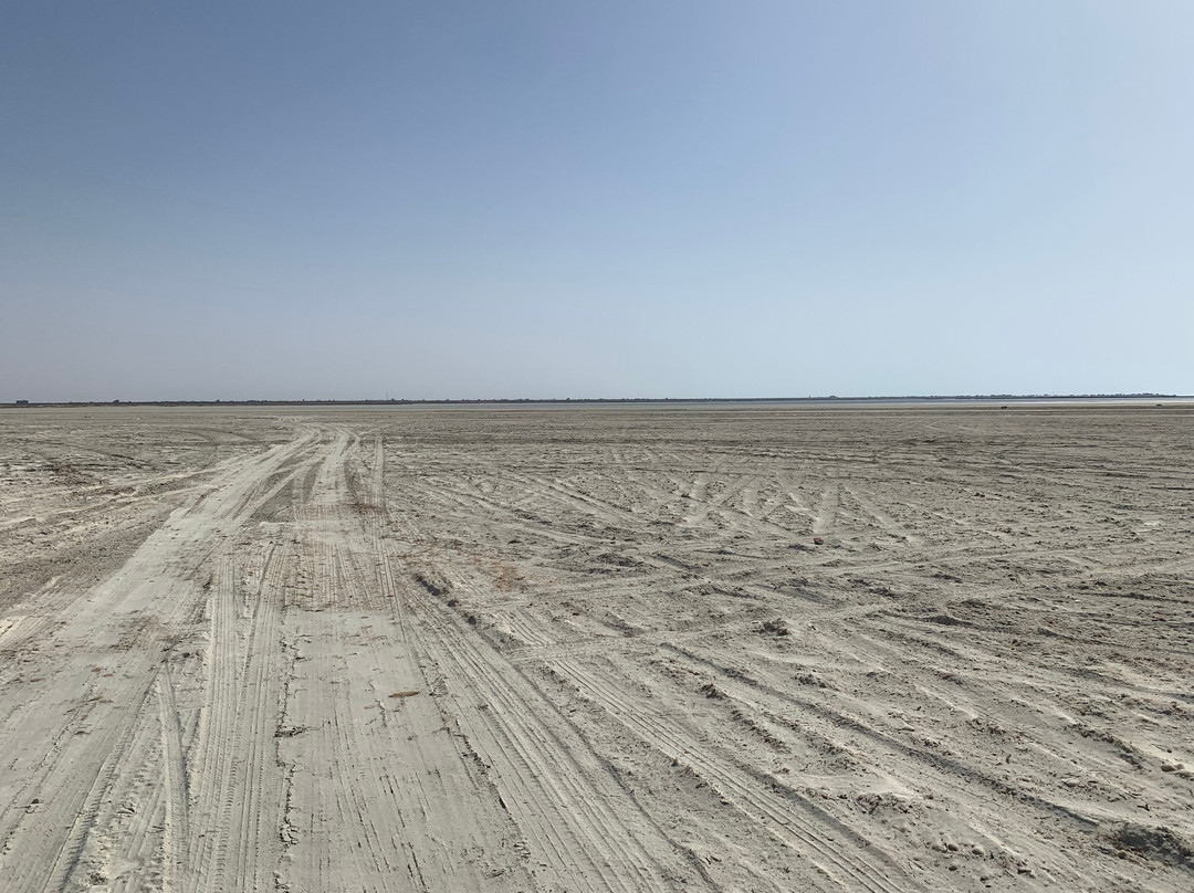 Zarziskite-Zarzis必去景点