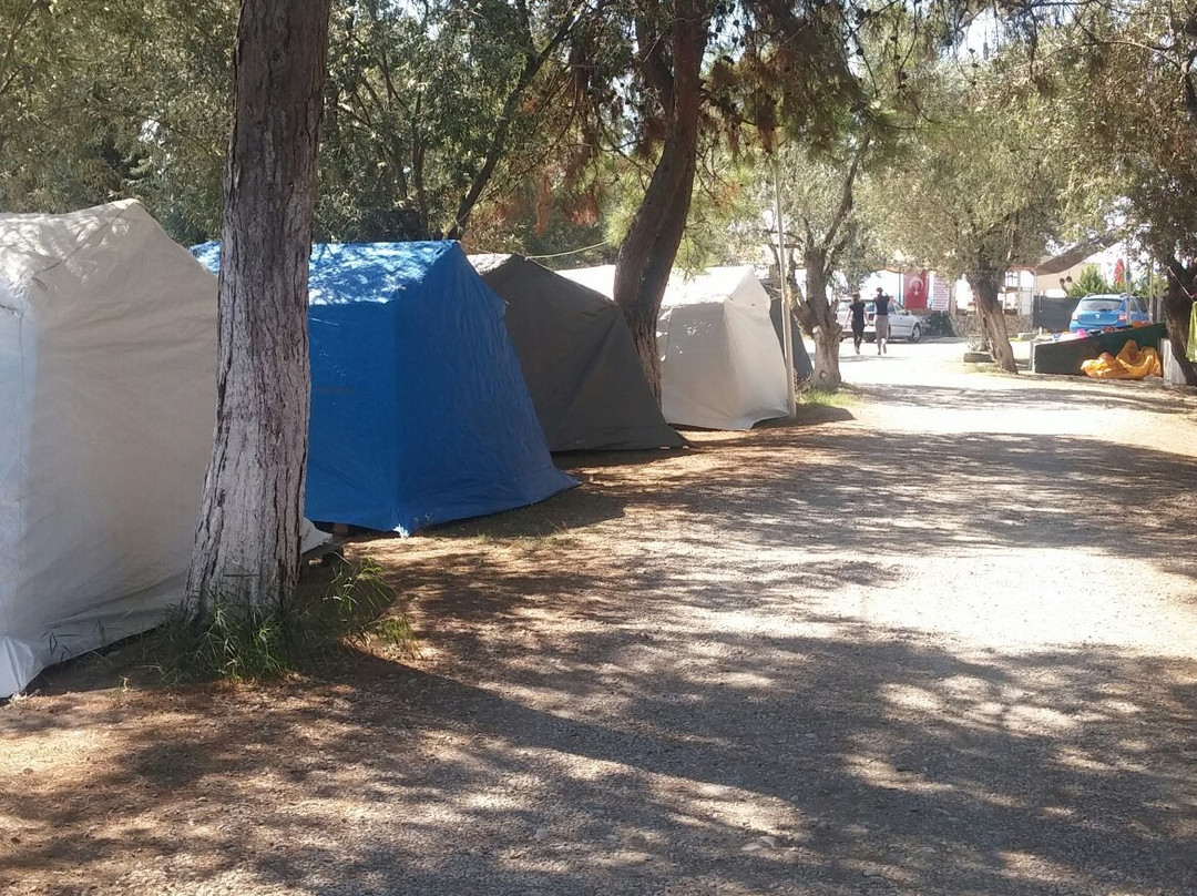 Sir Motel Beach Camping主图