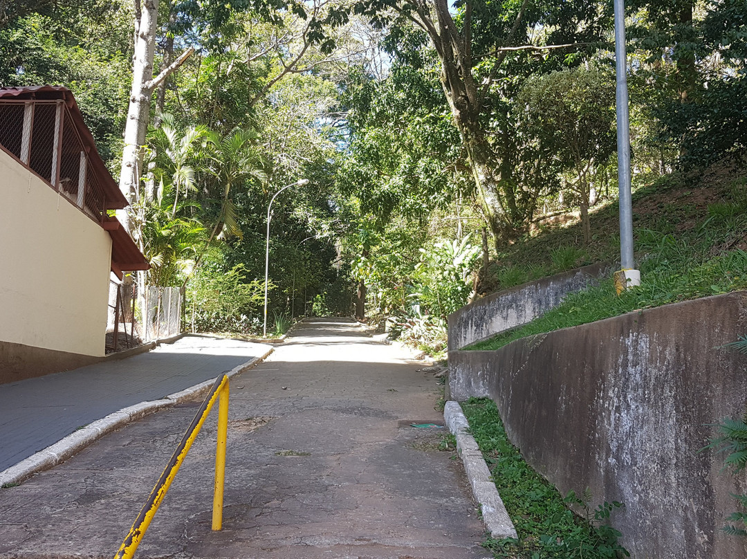 Bosque Zequinha de Abreu-阿瓜斯迪林多亚必去景点