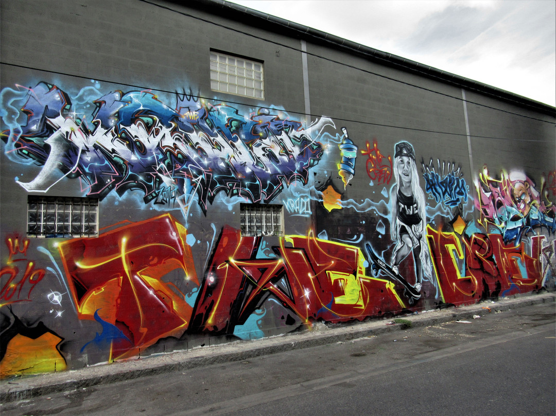 Fresque "Skateboardeuse"-欧贝维利耶必去景点