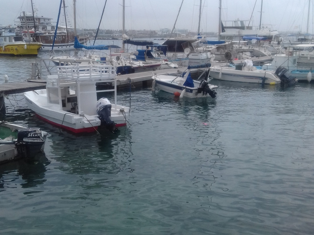 Paphos Harbour and Port-帕福斯必去景点