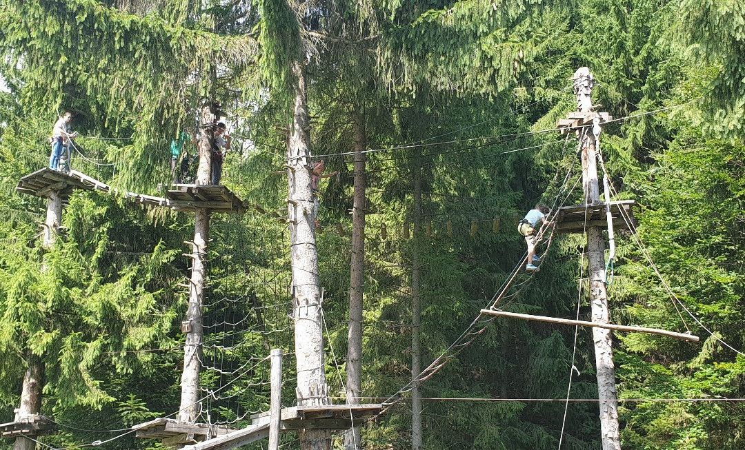 Tree Adventure Park Fundatica景点图片