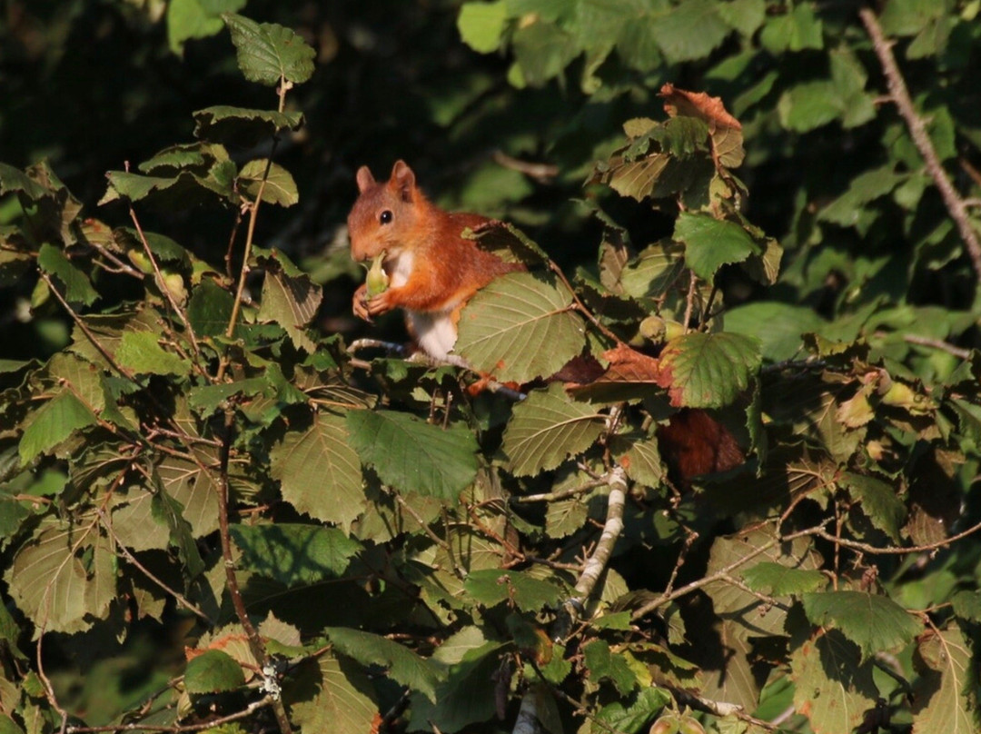 Moulin de Larcy主图