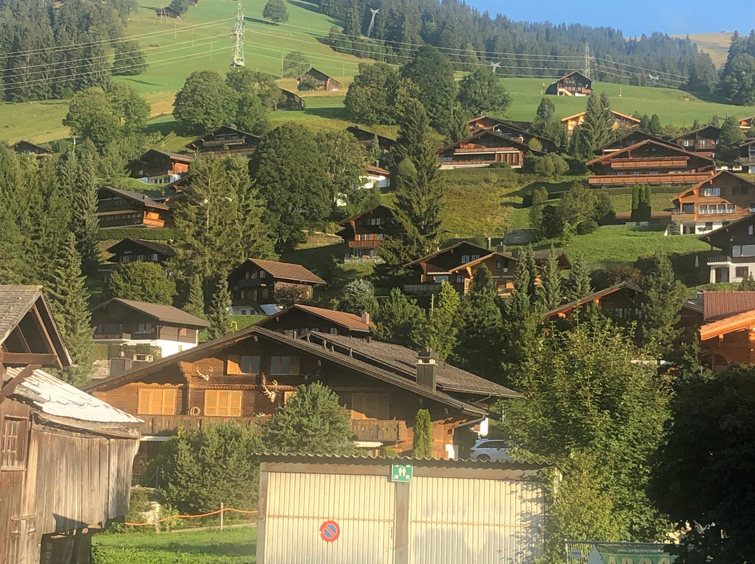 Hotel Alpenrose Schönried Bei Gstaad主图