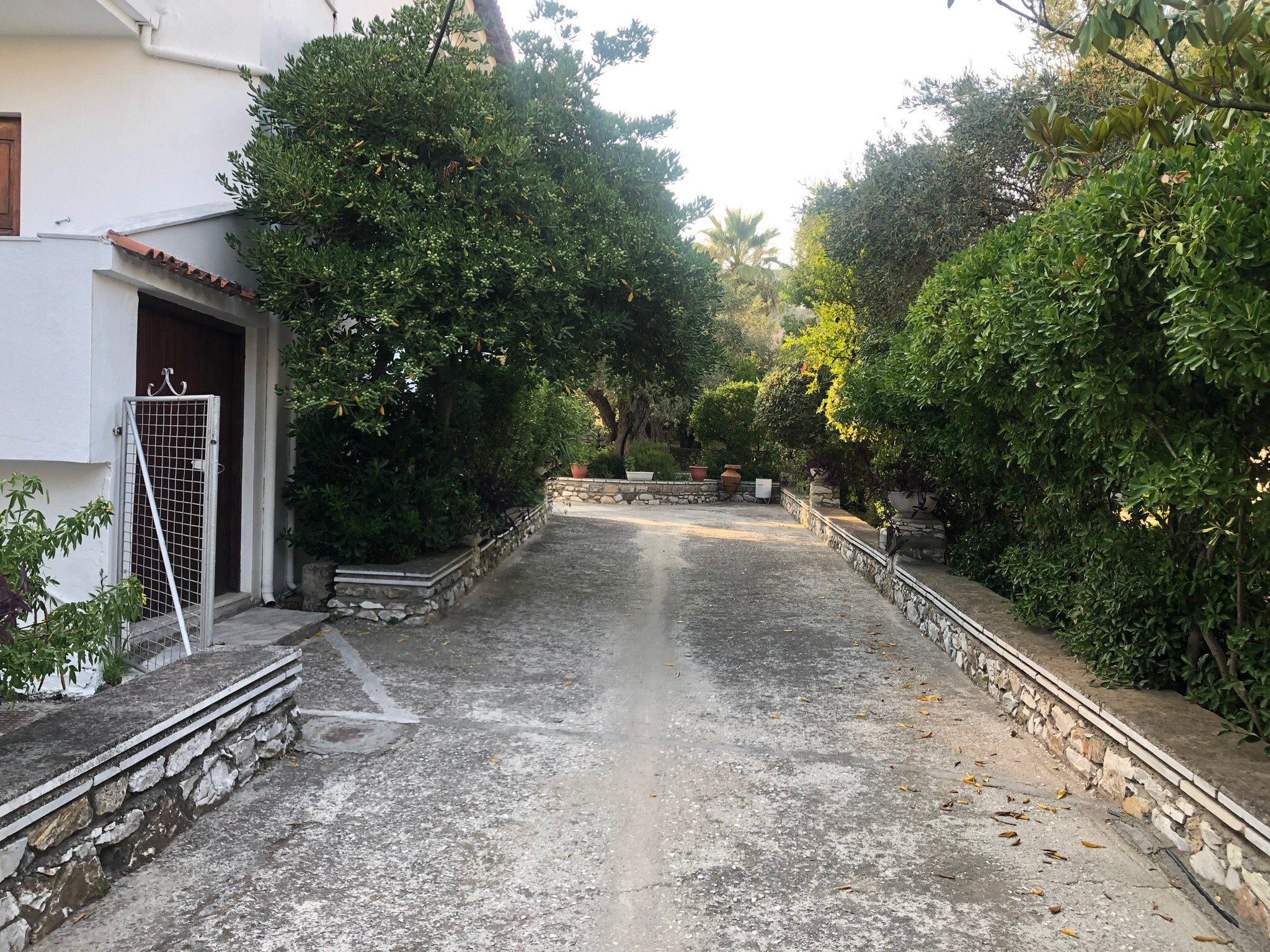 Naftilos Skiathos-官方