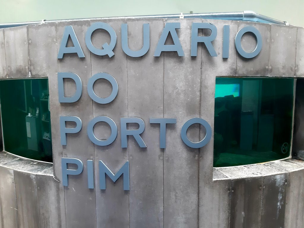 Life Fish Station - Porto Pim Aquarium景点图片