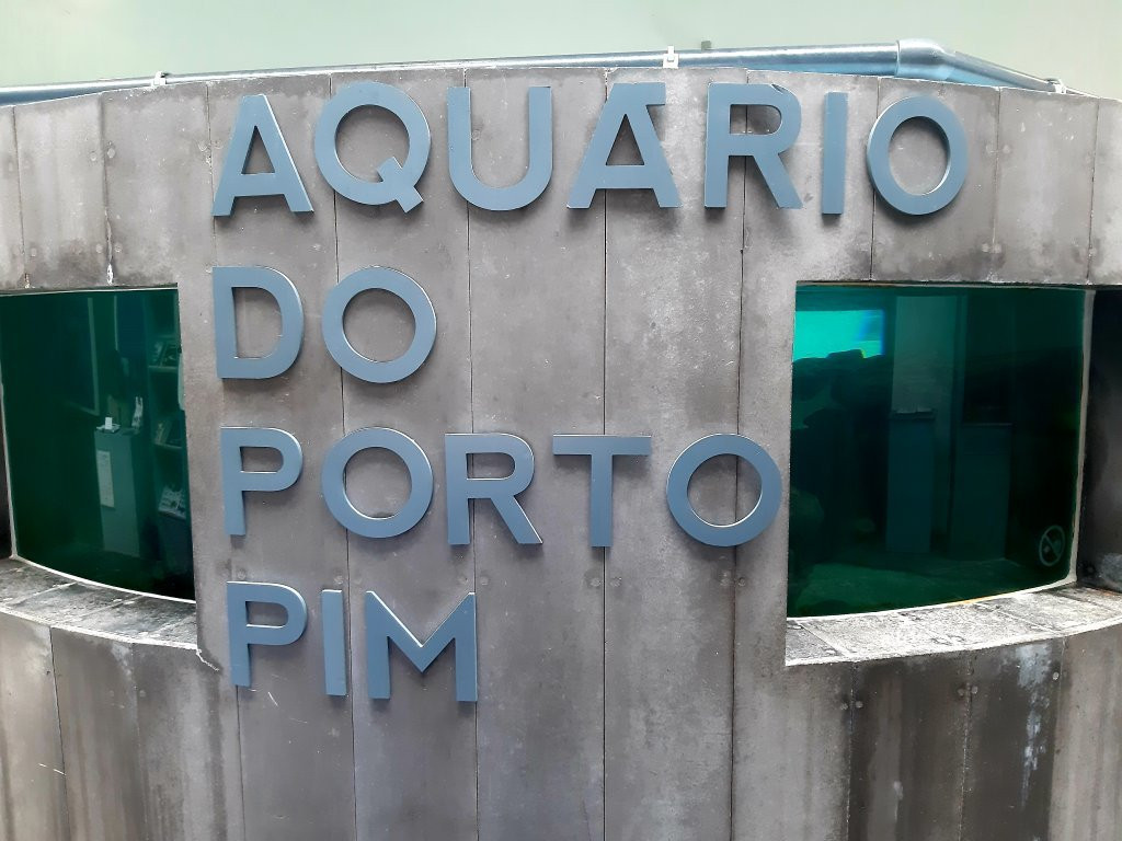 Life Fish Station - Porto Pim Aquarium-奥尔塔必去景点