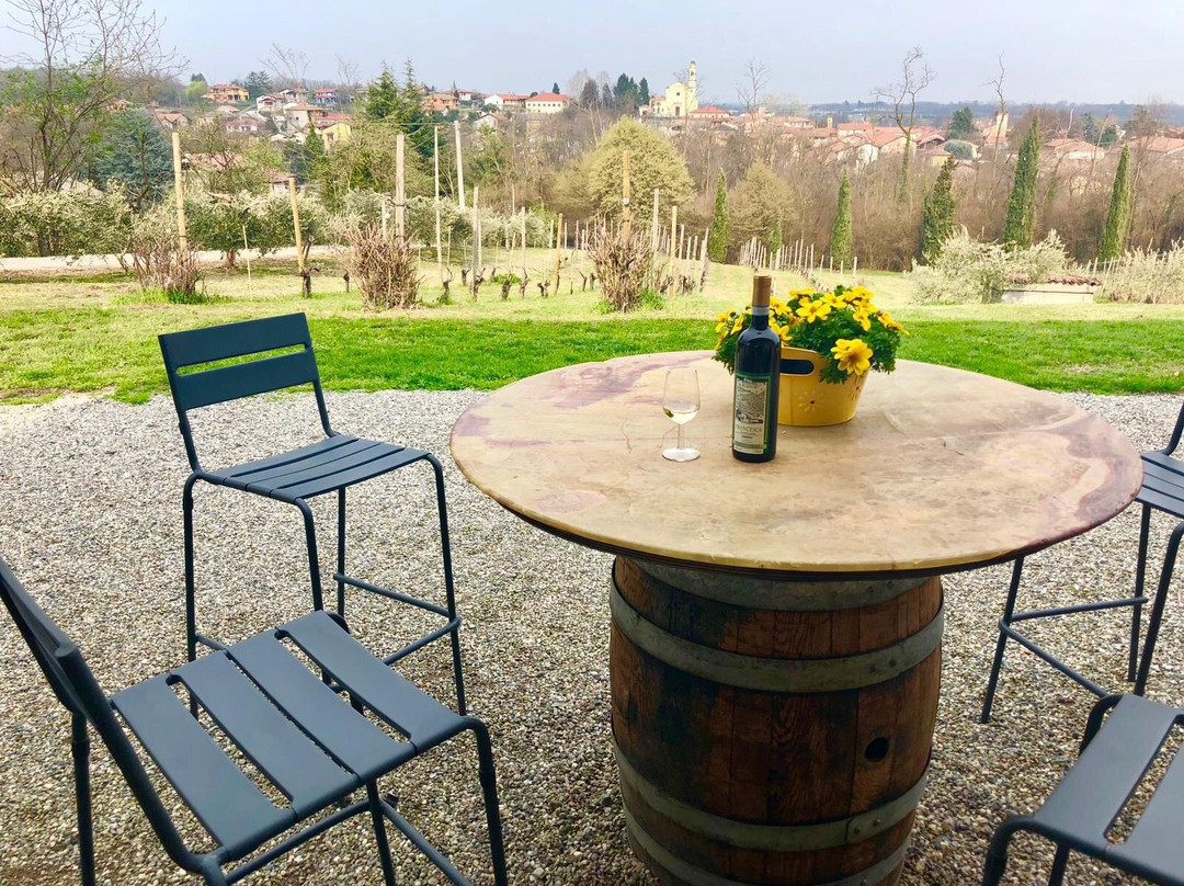 Azienda vitivinicola Il Roccolo di Mezzomerico景点图片