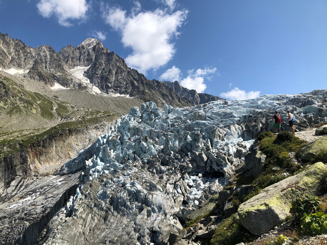 Glacier d'Argentiere景点图片