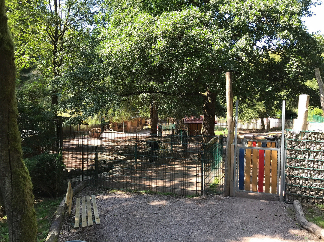 Suhler Tierpark景点图片