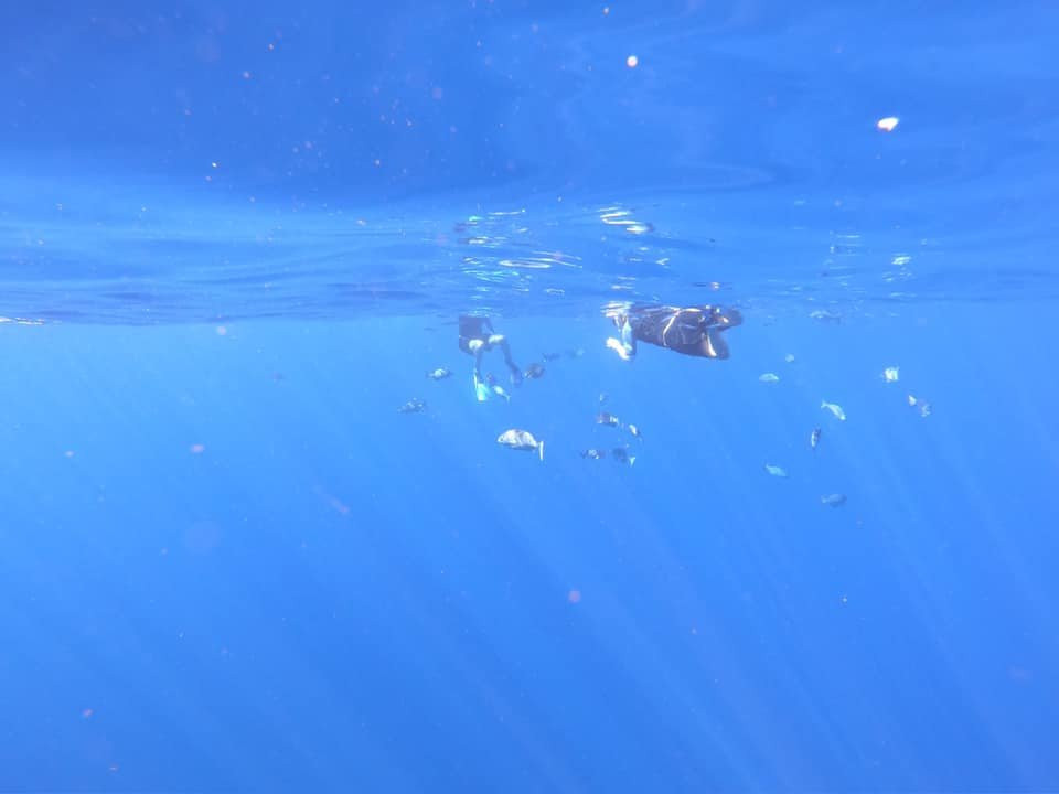 毛伊岛浮潜之旅景点图片