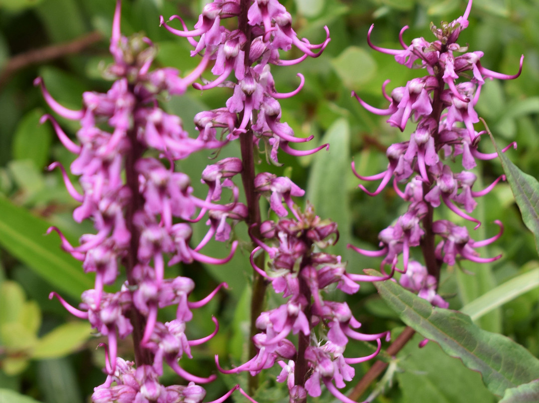 Gore Creek Trailhead-韦尔必去景点