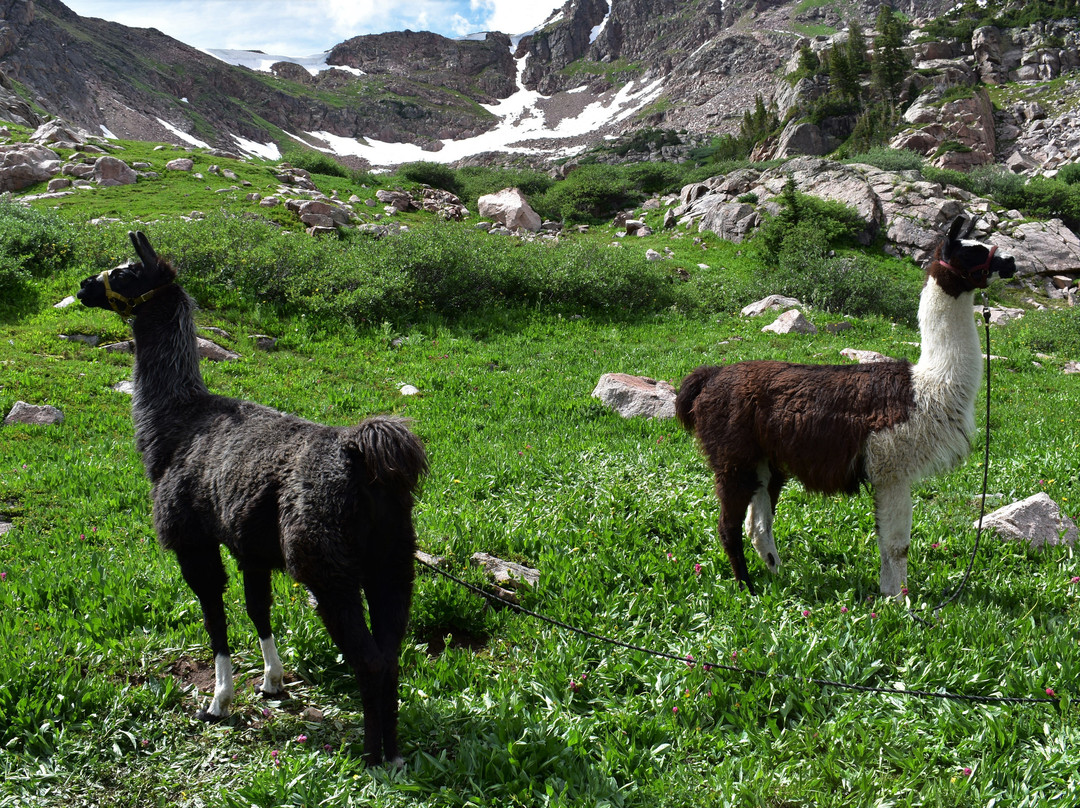 Gore Creek Trailhead景点图片