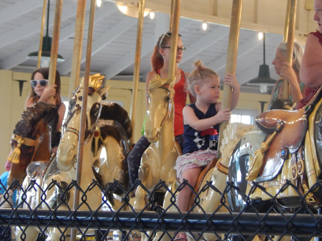 C. Fred Johnson Park Carousel-Johnson City必去景点