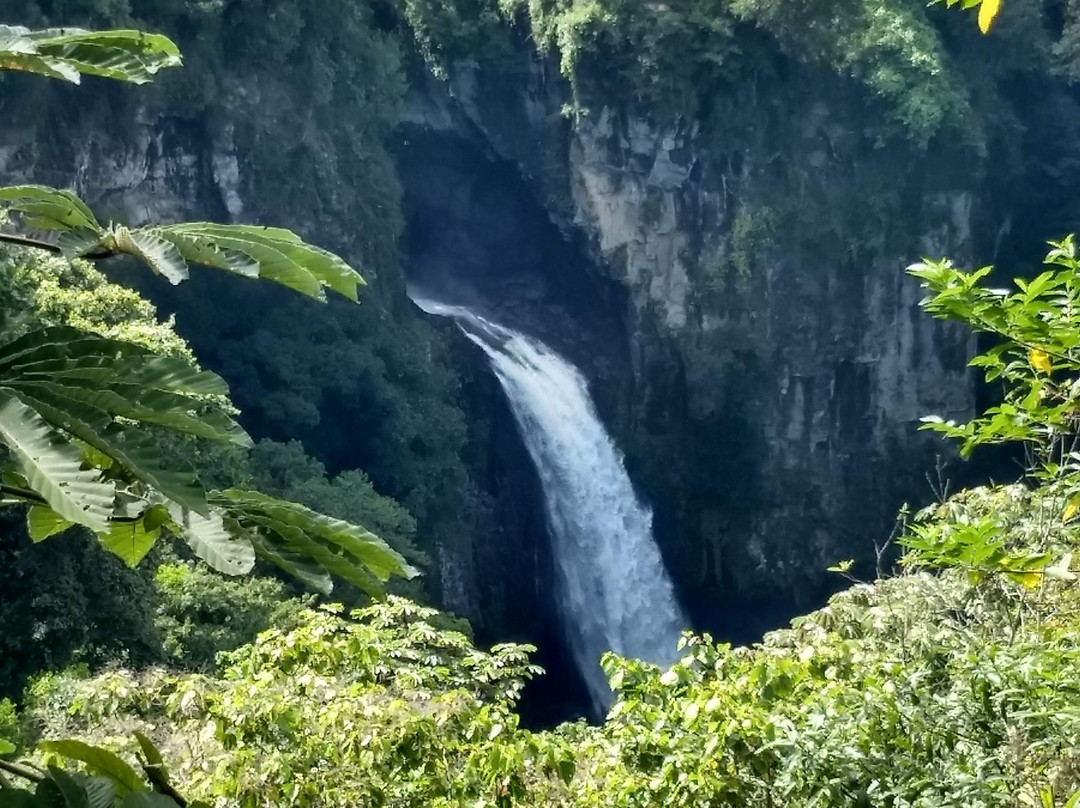 Finca Vacacional Santa Rosa主图