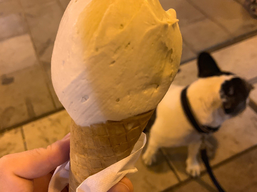 Alma Gelateria Artigianale