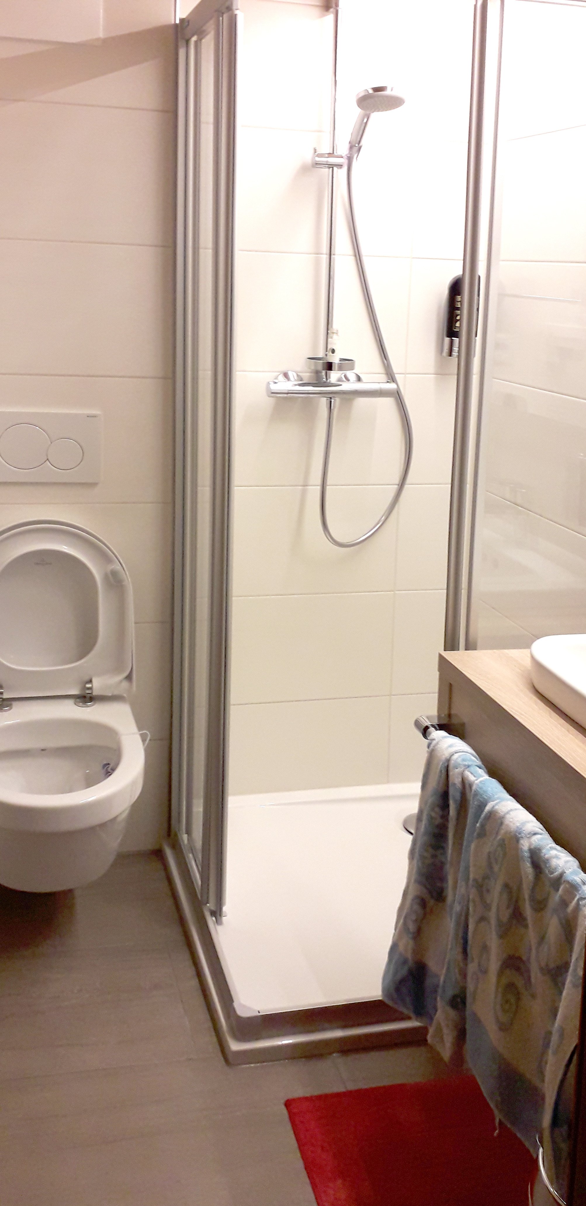 Haus Alpengluhn-浴室